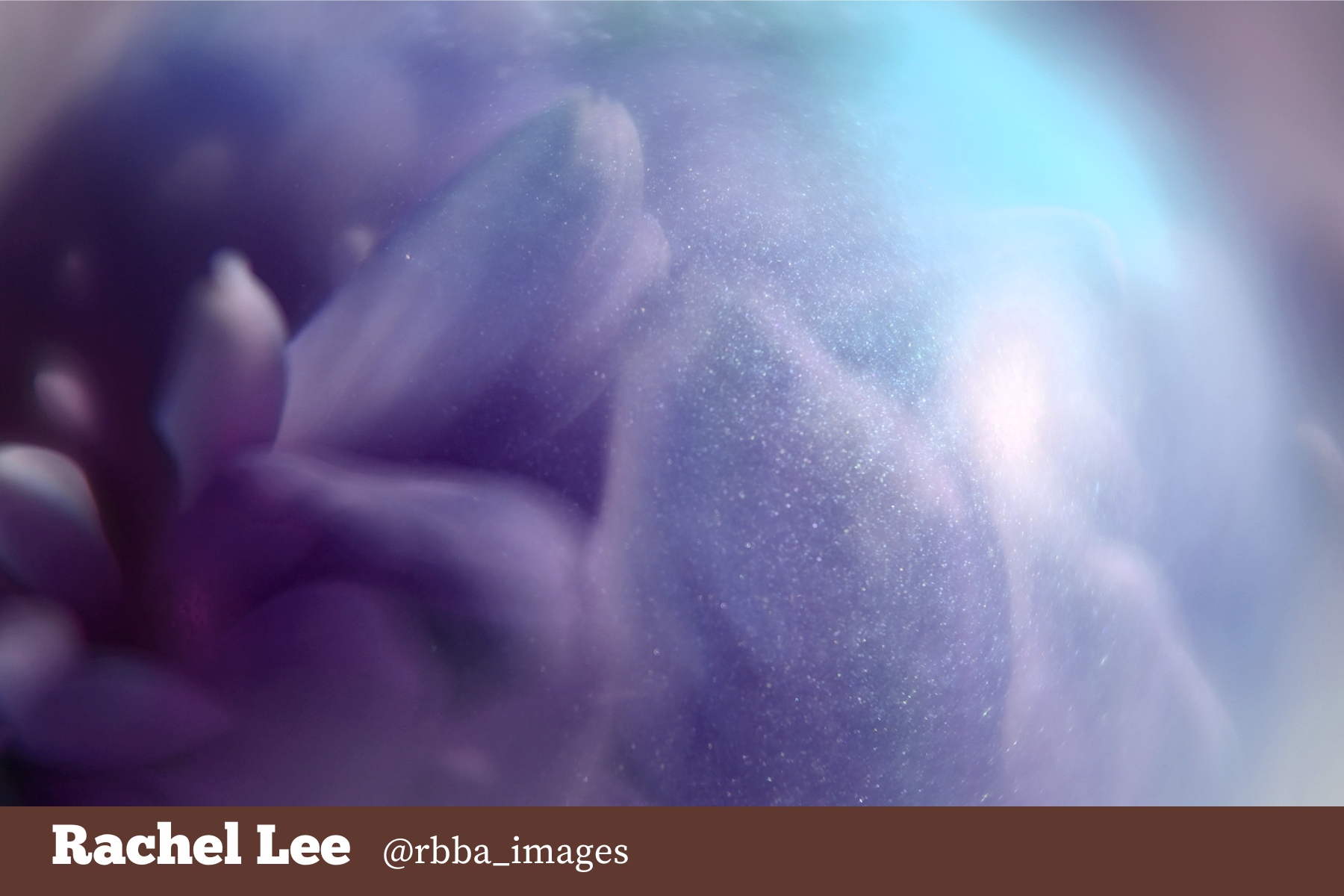 Hello Storyteller Member Project- rachel-lee-multiple-exposure