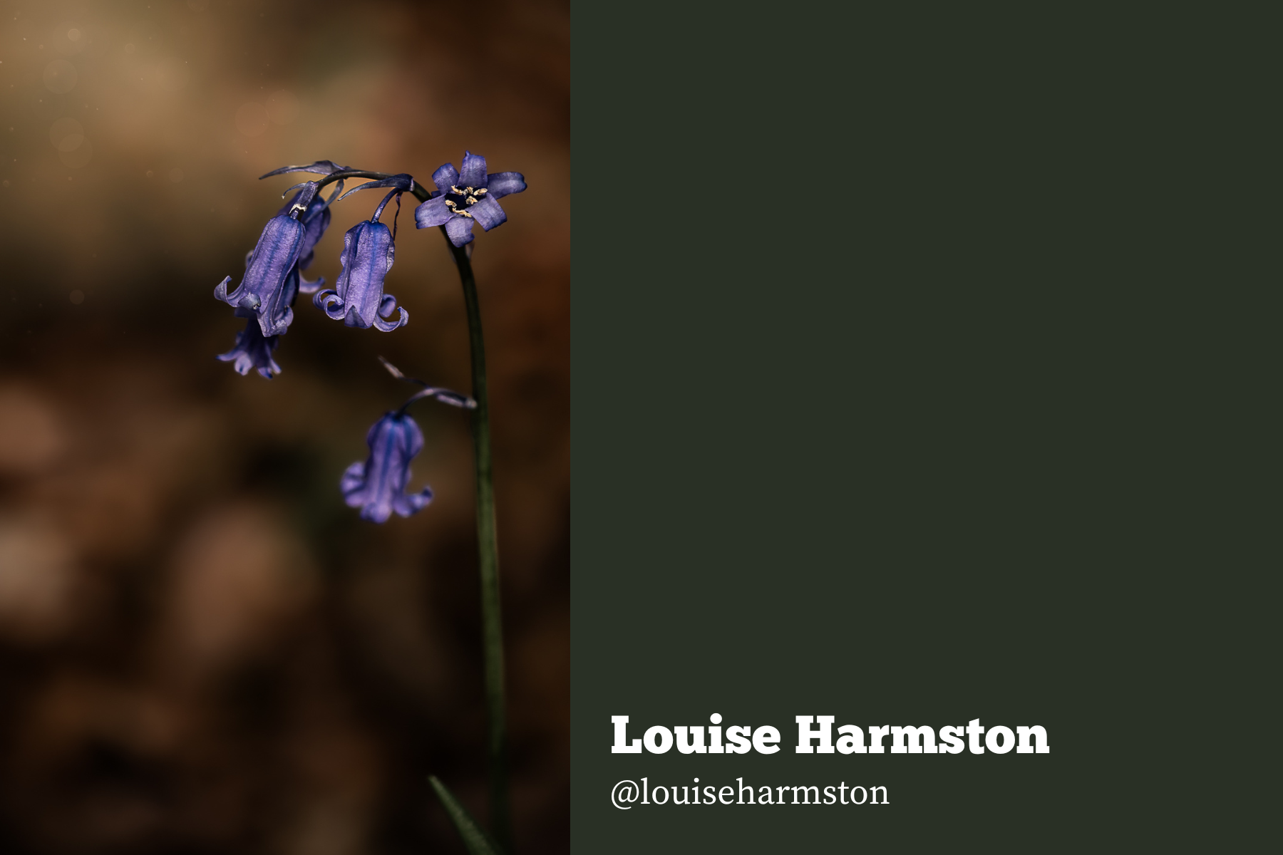 Hello Creatives Monthly Story Project -louise-nature